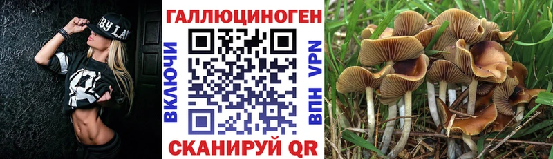 гидра ССЫЛКА  Полтавская  Псилоцибиновые грибы мухоморы 